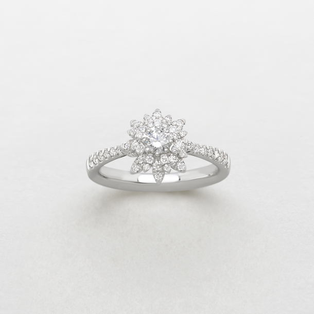 white gold and diamonds ring