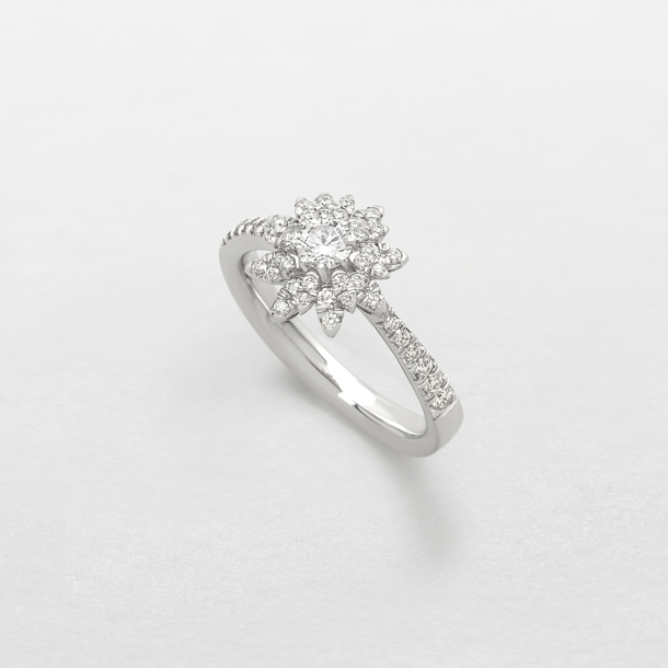 white gold and diamonds ring