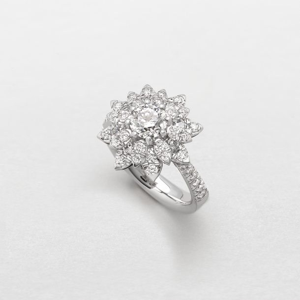 white gold and diamonds ring