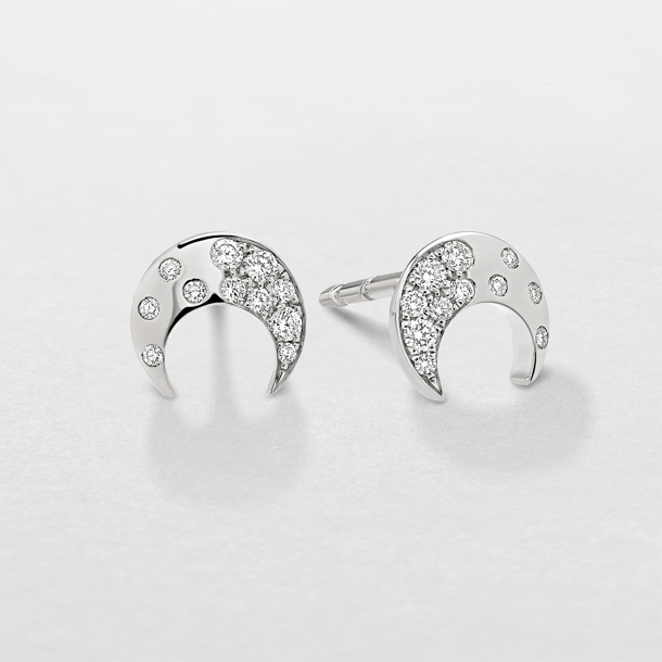 white gold and diamonds earrings