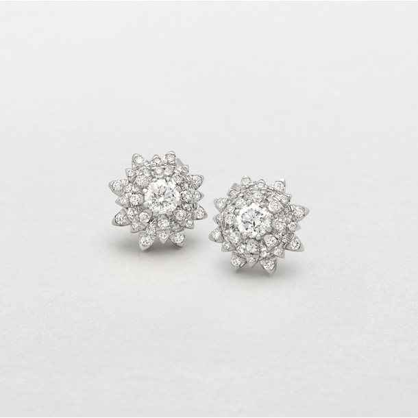 white gold and diamonds earrings